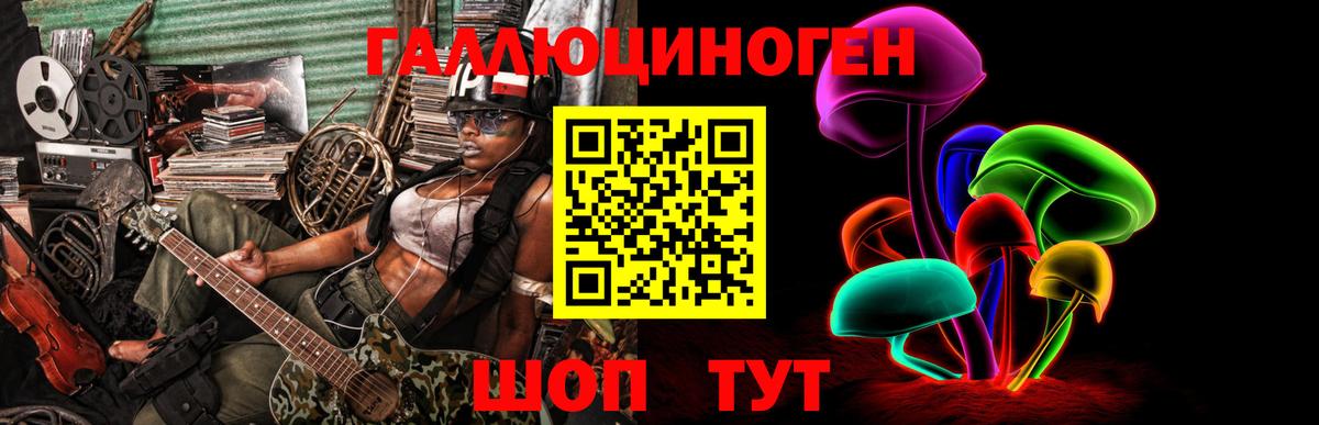 Псилоцибиновые грибы GOLDEN TEACHER  Галлюциногенные грибы Cubensis  Вход с VPN  сколько стоит  Тара 